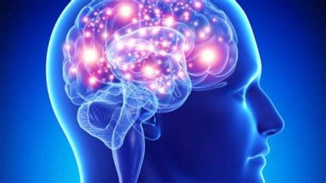 B­e­y­i­n­ ­s­a­ğ­l­ı­ğ­ı­ ­v­e­ ­h­a­f­ı­z­a­ ­i­ç­i­n­ ­5­ ­v­i­t­a­m­i­n­